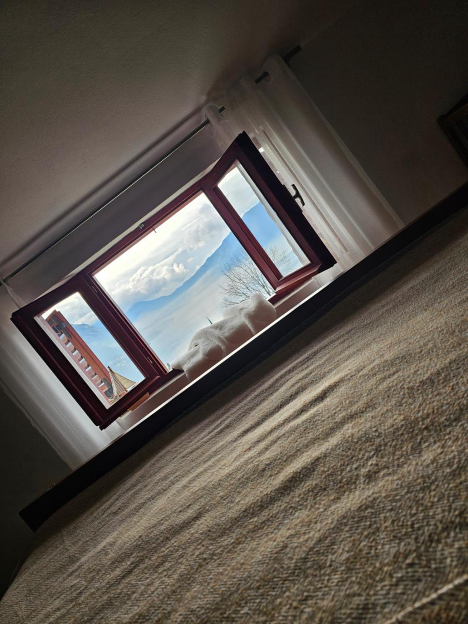 Apartments Nadja コトル 部屋 写真